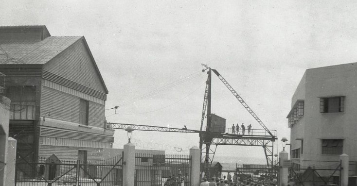 WhatsApp Image 2020-10-18 at 3.53.49 PM.jpeg.jpeg